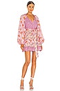 view 1 of 3 Rina Dress in Exploded Pink