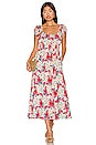 view 1 of 3 Vernon Dress in Rush of Red