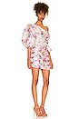 view 2 of 4 Altie Dress in Veiled Kiss