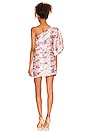 view 4 of 4 Altie Dress in Veiled Kiss