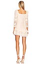view 3 of 3 Shania Mini Dress in Nougat