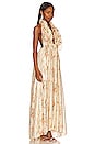 view 2 of 4 Antonie Maxi Dress in Golden Fog