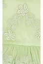 view 4 of 4 Jaylen Dress in Lime