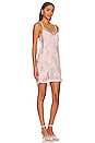 view 2 of 3 VESTIDO PINTO in Dusty Blush