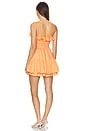 view 3 of 3 Linny Dress in Tangerine