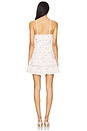view 3 of 3 Solbina Dress in Fancy Pink
