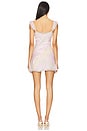 view 3 of 4 Sylva Dress in Garden Party