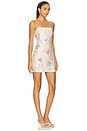 view 2 of 3 Calima Dress in Tutti Fruitti