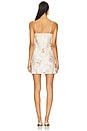 view 3 of 3 Calima Dress in Tutti Fruitti