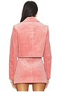 view 3 of 5 Aylin Jacket in Rose