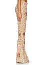 view 4 of 6 Janae Pant in Honey Garden