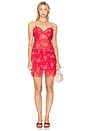 view 5 of 6 Darlington Skirt in Urban Crimson