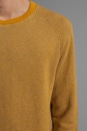 view 5 of 5 Crew Sweatshirt in Golden Spice