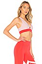 view 2 of 4 Nanette Sports Bra in Peach Pink