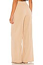 view 3 of 4 PANTALON KAYA in Nude