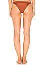 view 3 of 4 The Tiegs Bikini Bottom in Rust