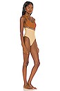 view 2 of 3 The Everette One Piece in Brown & Nude