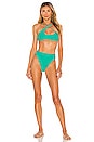 view 5 of 5 BAS DE MAILLOT DE BAIN LOGAN in Tropic Green