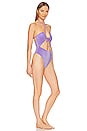view 2 of 4 the Coralee One Piece in Purple