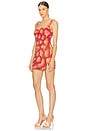 view 3 of 5 Sunset Rose Dress in Rose Ombre