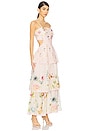 view 2 of 5 Garden Gala Tier Dress in Pink Multi Floral