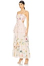 view 3 of 5 Garden Gala Tier Dress in Pink Multi Floral