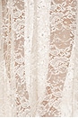 view 4 of 4 Champagne Lace Gown in Silver