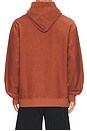 view 2 of 5 Fairfax Reverse Terry Hoodie in Ember