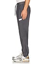 view 2 of 5 Luka HD Pant in Charcoal Gray & Orion Chor