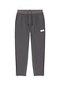 view 6 of 5 Luka HD Pant in Charcoal Gray & Orion Chor