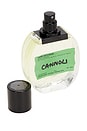 view 4 of 4 Cannoli Eau De Parfum in 