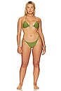 view 8 of 8 Capri Basic Bikini Bottom in Green