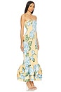 view 2 of 3 Ramblas Dress in Fleur Bleue