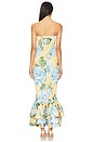 view 3 of 3 Ramblas Dress in Fleur Bleue