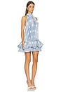 view 2 of 4 Soleil Mini Dress in Baltic Polka