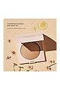 view 4 of 6 Real Flawless Luminous Perfecting Pressed Powder in Translucent Medium