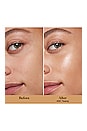 view 3 of 9 Tinted Moisturizer Light Revealer Natural Skin Illuminator SPF 25 in 4W1 Tawny