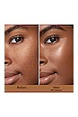 view 3 of 9 Tinted Moisturizer Light Revealer Natural Skin Illuminator SPF 25 in 5N1 Walnut