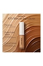 view 9 of 10 Real Flawless Concealer in 1C1