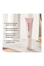 view 9 of 10 Pure Canvas Primer Illuminating in 