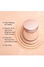 view 5 of 10 POUDRE DE FINITION TRANSLUCENT LOOSE SETTING POWDER ULTRA-BLUR TONE-UP FULL SIZE in Rose