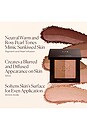 view 8 of 10 POUDRE BRONZANTE BRONZE COLOR INFUSION in 30 Cannes