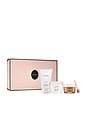 view 1 of 4 KIT DE CUIDADOS COM O CORPO DELICIOUS & DECADENT AMBRE VANILLE COLLECTION in 