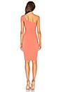 view 3 of 3 Packard Dress in Coral Haze