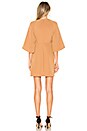 view 3 of 3 Lucia Dress in Chipmunk