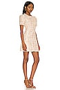 view 2 of 4 Meredith Dress in Champagne Multi