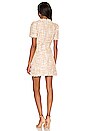 view 3 of 4 Meredith Dress in Champagne Multi