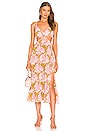 view 1 of 3 Katerina Dress in Olive Oil & Pink