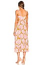 view 3 of 3 Katerina Dress in Olive Oil & Pink