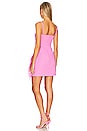 view 5 of 5 Owens Dress in Pink Sugar